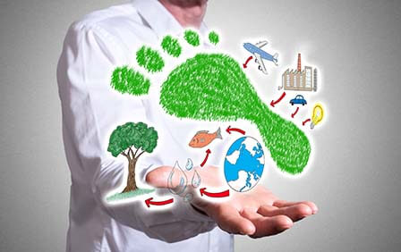 7 Ways for Large Distribution Centers to Reduce Their Ecological Footprint