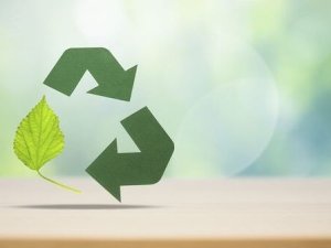 5 Ways to Increase Sustainability at Your Company